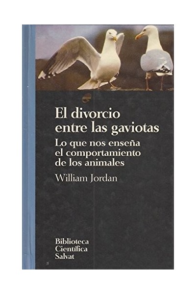 El divorcio entre las gaviotas. Lo que nos enseña el comportamiento de los animales